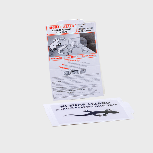 Hi-Snap Lizard & Multipurpose Glue Trap