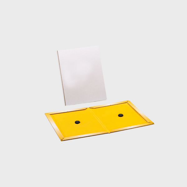 Hy-Catch Mouse and Rat Glue Trap (Plain Regular)