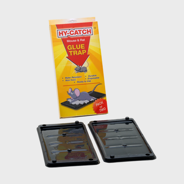 Hy-Catch Mouse & Rat Glue Trap (Jumbo -Plastic)