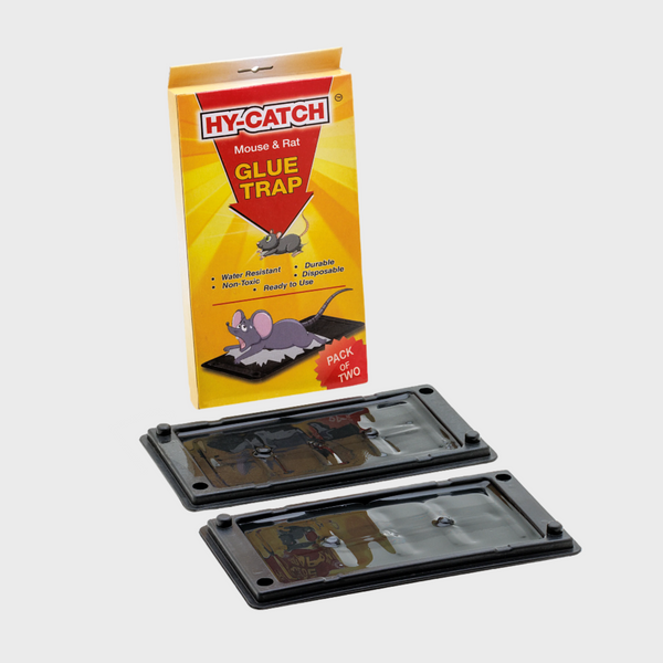 Hy-Catch Mouse & Rat Glue Trap (Regular Plastic)