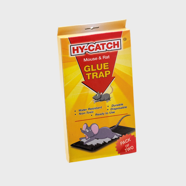 Hy-Catch Mouse & Rat Glue Trap (Regular Plastic)