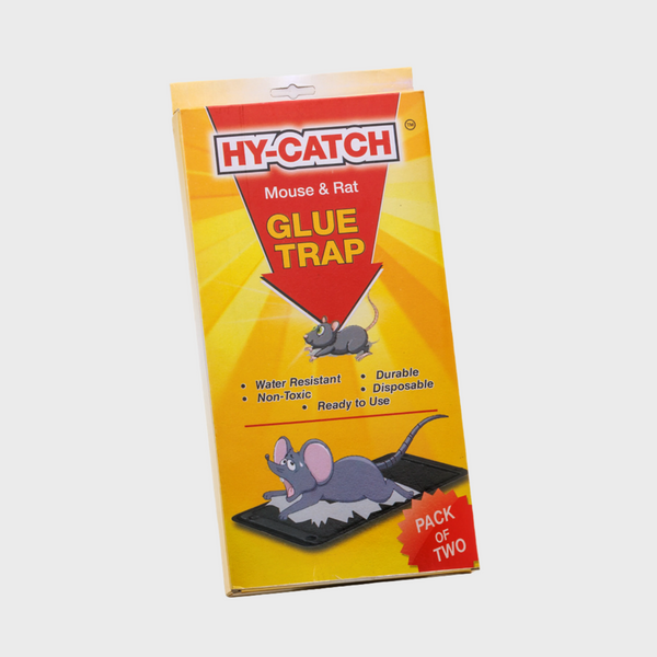 Hy-Catch Mouse & Rat Glue Trap (Jumbo -Plastic)